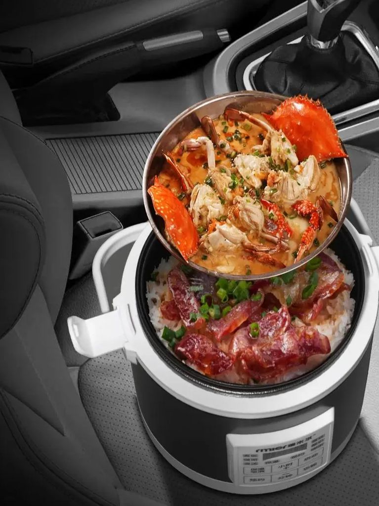 ARIER 12-24V 220V Rice Cooker  - Camping Cooking Cup ulasan dan harga